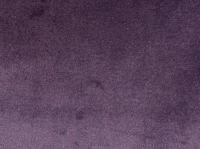 Scarlet 28 Violet
